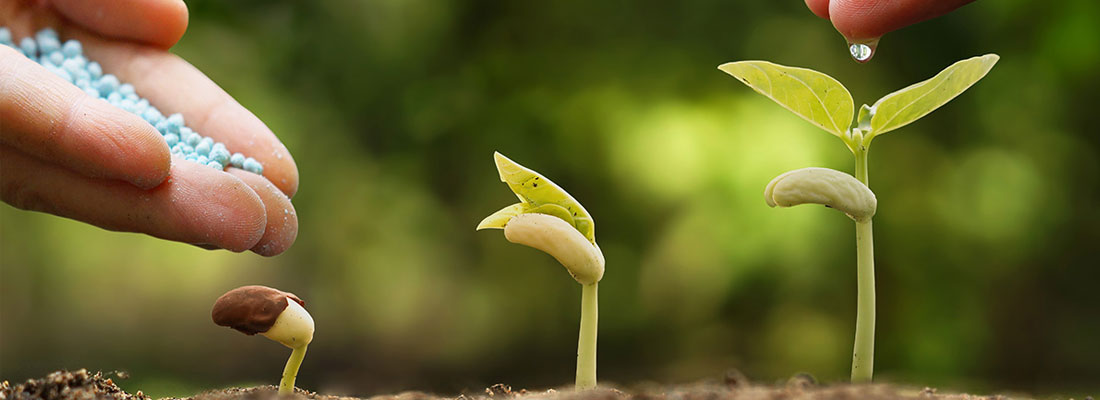 parcours des plantes