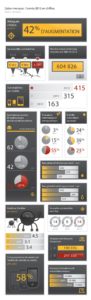 Infographie1